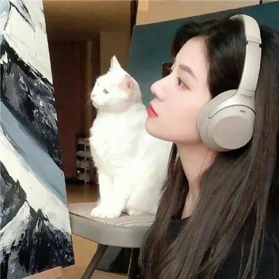守护猫娘绯鞠
