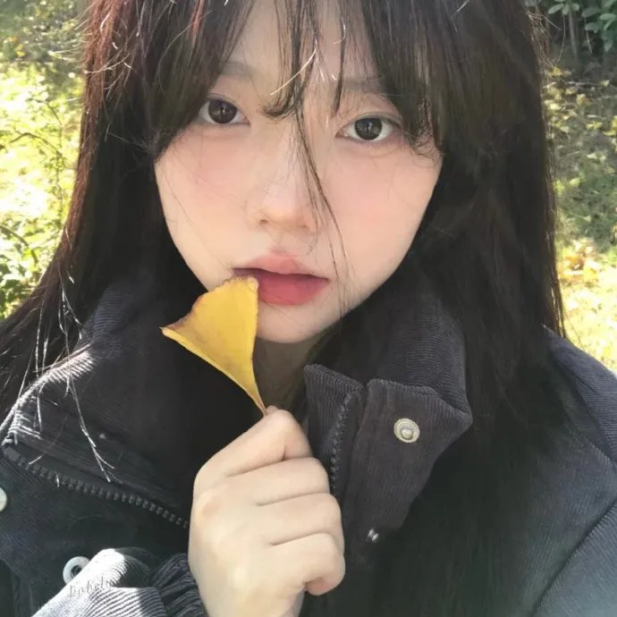 大人物拿破仑